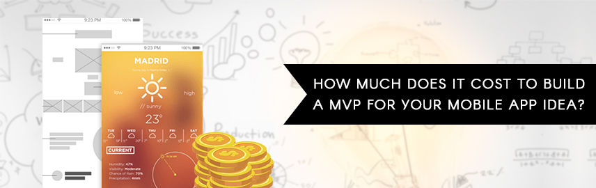 How Much Does It Cost to Build a MVP for Your Mobile App Idea?