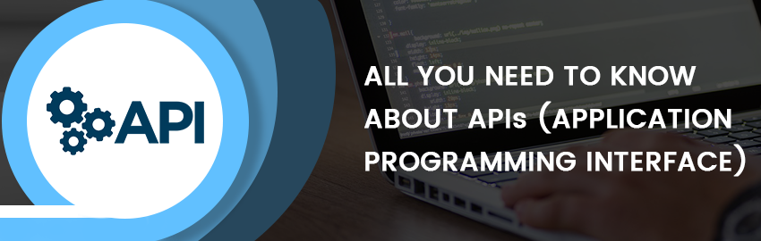 API (Application Programming Interface) Guide for Dummies