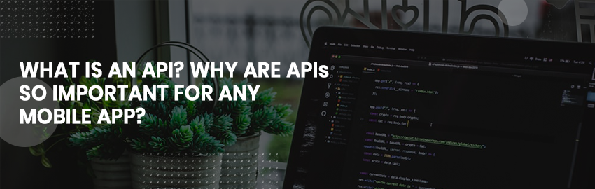 Why Application Programming Interface or APIs are pivotal for any mobile app?