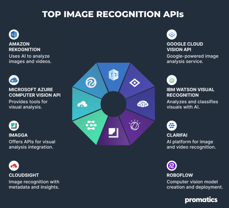 Top 10 Image Api Top Facial and Image Recognition APIs in 2025 | Promatics